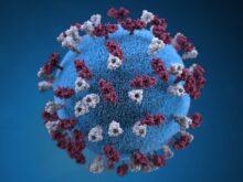 bacterias