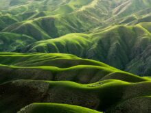 natureza