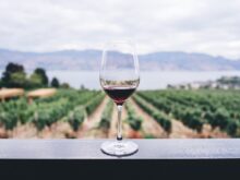 vinho