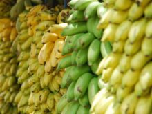 bananas