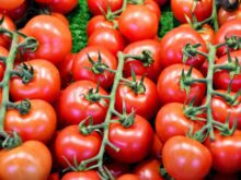 tomates