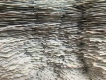 papel